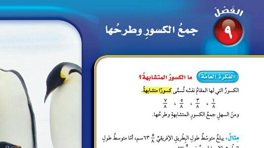 حل الفصل التاسع جمع الكسور وطرحها رياضيات خامس ابتدائي ف2 1447