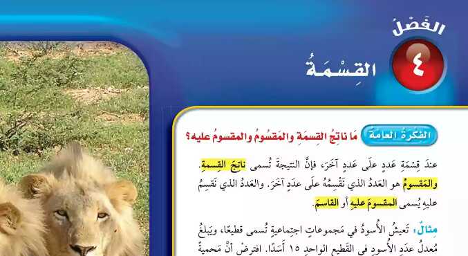 حل الفصل الرابع القسمة رياضيات خامس ف1 1446