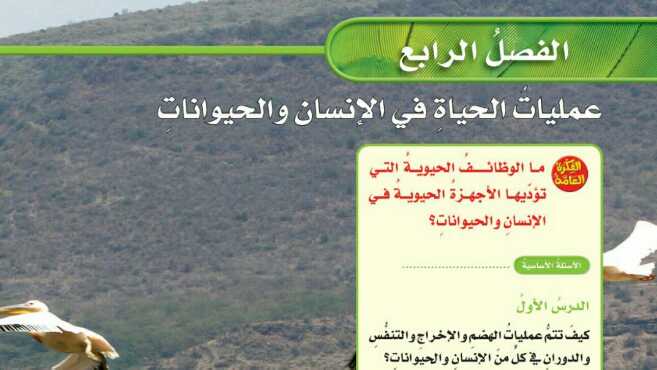 حل علوم الفصل الرابع عمليات الحياة في الانسان والحيوانات سادس ابتدائي ف1 1445
