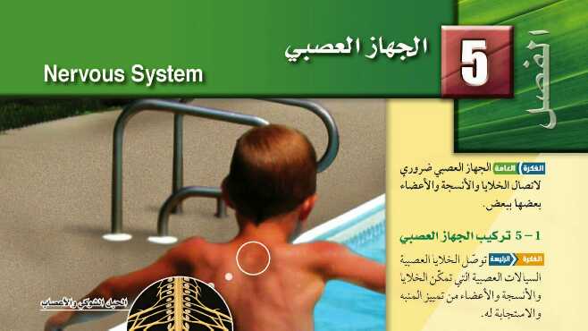 حل الفصل الخامس الجهاز العصبي