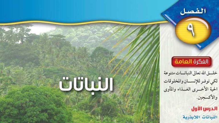 حل الفصل التاسع النباتات علوم ثاني متوسط ف2 1446