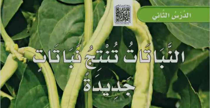 شرح درس النباتات تنتج نباتات جديدة ثاني ابتدائي ف1