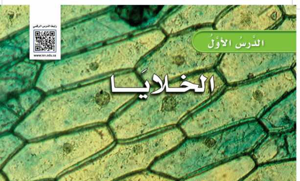 شرح درس الخلايا للصف الرابع الابتدائي ف1