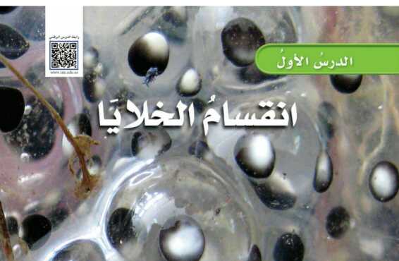 شرح درس انقسام الخلايا علوم للصف سادس ابتدائي ف1