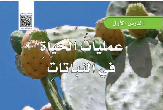شرح درس عمليات الحياة في النبات علوم للصف سادس ابتدائي ف1