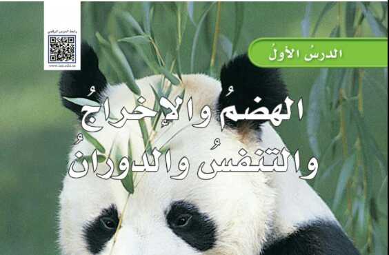 شرح درس الهضم والاخراج والتنفس والدوران علوم للصف سادس ابتدائي ف1