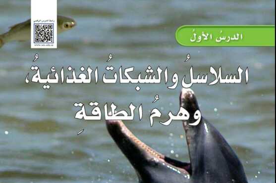 شرح درس السلاسل والشبكات الغذائية وهرم الطاقة علوم للصف سادس ابتدائي ف1