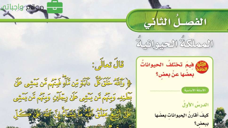 حل علوم الفصل الثاني المملكة الحيوانية رابع ابتدائي ف1 1448
