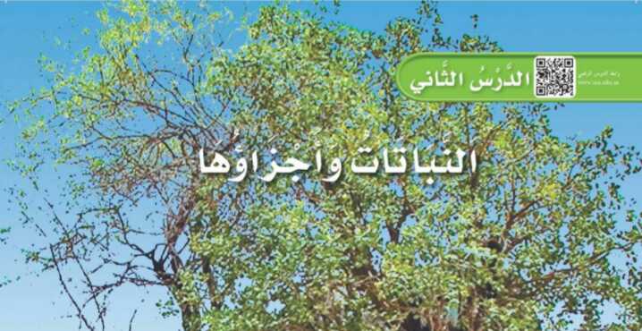شرح درس النباتات وأجزاؤها اول ابتدائي ف1