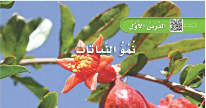 شرح درس نمو النباتات اول الابتدائي ف1