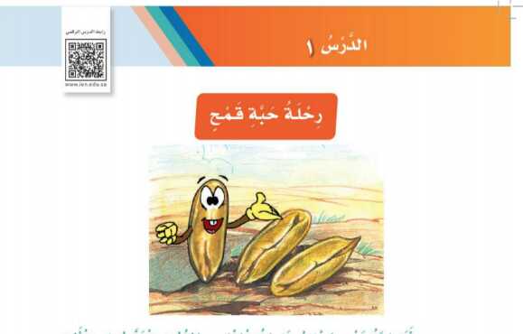 شرح درس رحلة حبة قمح ثاني ابتدائي ف1