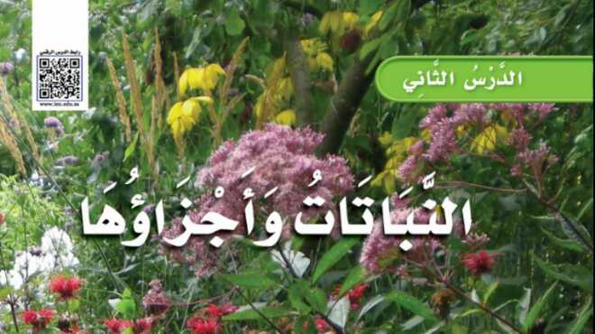 شرح درس النباتات واجزاؤها للصف الثالث الابتدائي ف1