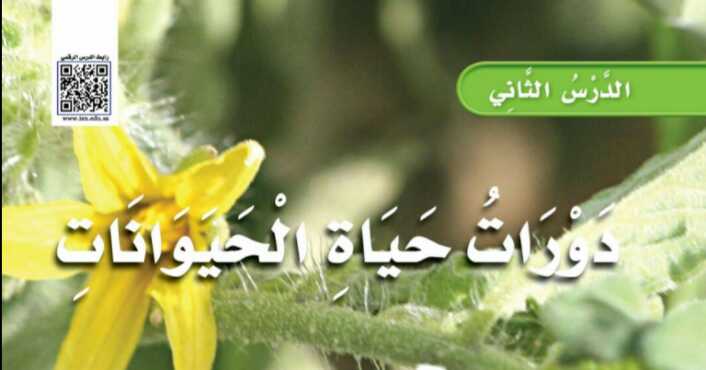 شرح درس دورات حياة الحيوانات للصف الثالث الابتدائي ف1
