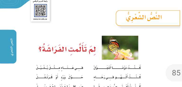 درس النص الشعري لم تألمت الفراشة للصف الرابع الابتدائي ف1