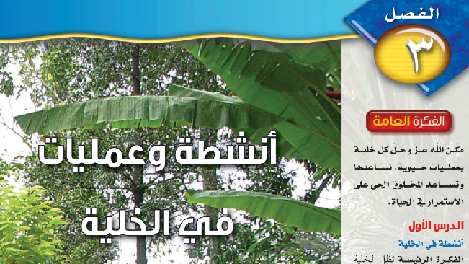 حل علوم الفصل الثالث أنشطة وعمليات في الخلية ثالث متوسط ف1 1446