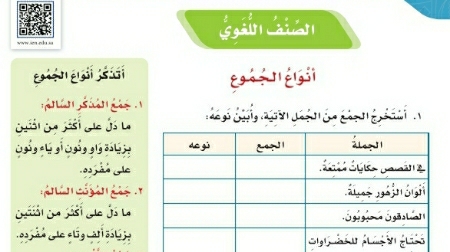 شرح درس الصنف اللغوي انواع الجموع للصف الخامس ف1