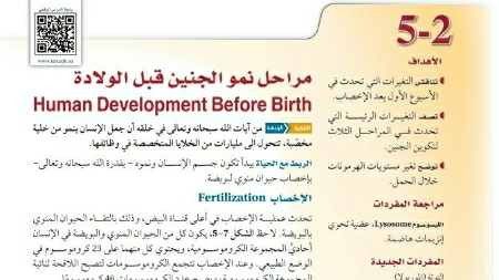 شرح درس مراحل نمو الجنين قبل الولادة أحياء ثاني ثانوي مسارات ف2