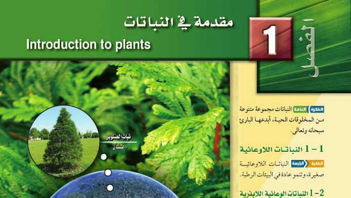 حل كتاب الاحياء 3 الفصل الاول مقدمة في النباتات 1442