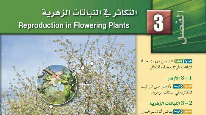 حل كتاب احياء 3 مقررات الفصل الثالث التكاثر في النباتات الزهرية 1442