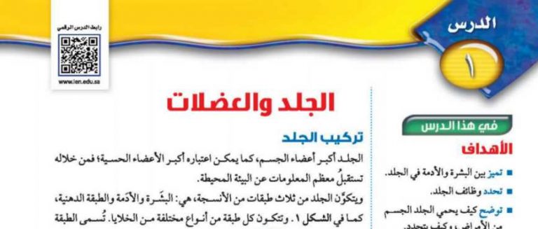 شرح درس الجلد والعضلات ثاني متوسط ف2