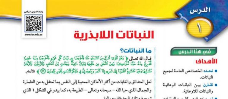 شرح درس النباتات اللابذرية علوم ثاني متوسط ف2