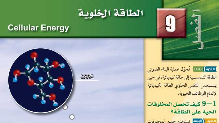 حل احياء 2 الفصل التاسع الطاقة الخلوية مسارات ف1 1446