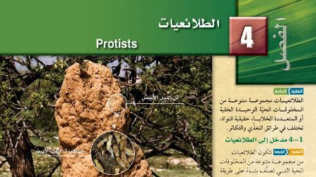 حل الفصل الرابع الطلائعيات احياء اول ثانوي مسارات 1445