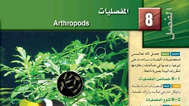 حل الاحياء الفصل الثامن المفصليات اول ثانوي مسارات 1445