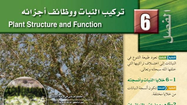 حل الفصل السادس تركيب النبات ووظائف أجزائه 1445