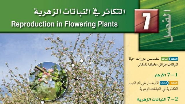 حل الفصل السابع التكاثر في النباتات الزهرية ثاني ثانوي مسارات ف1 1445