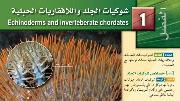 حل الفصل الاول شوكيات الجلد واللأفقاريات الحبلية احياء ثاني ثانوي 1447
