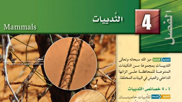 حل الفصل الرابع الثدييات احياء 2 ثاني ثانوي مسارات ف1 1445
