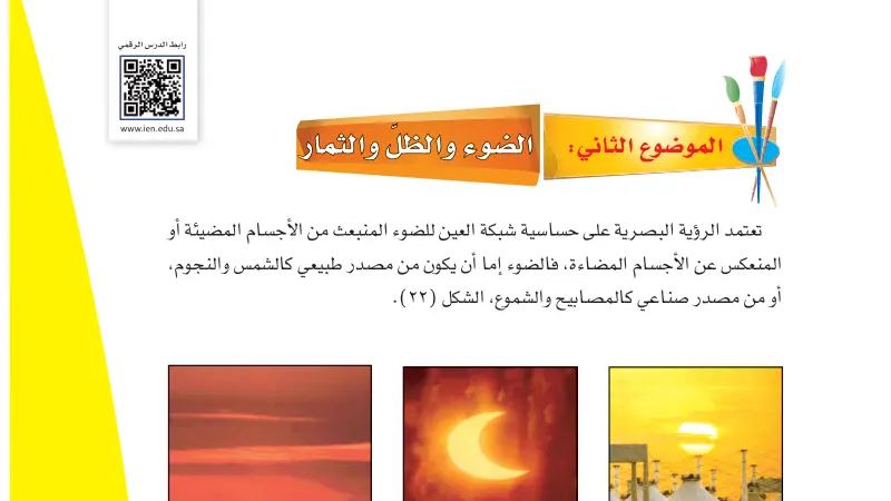شرح درس الضوء والظل والثمار للصف الرابع الابتدائي ف1