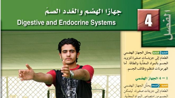 حل الفصل الرابع جهازا الهضم والغدد الصم الاحياء ثاني ثانوي مسارات ف2 1446