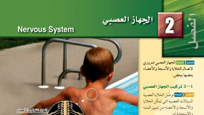 حل احياء الفصل الثاني الجهاز العصبي ثاني ثانوي مسارات ف2 1446