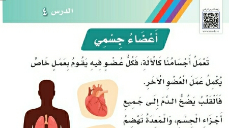 شرح درس أعضاء جسمي
