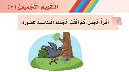 التقويم التجميعي ٧ لغتي اول ابتدائي ف2