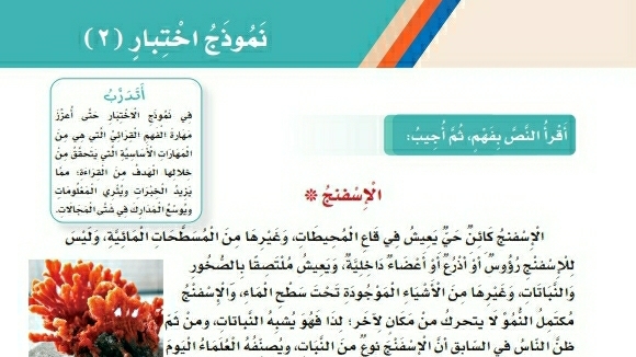 شرح درس نموذج اختبار ٢ الإسفنج للصف الثالث الابتدائي ف1