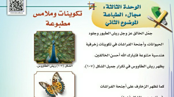 شرح درس تكوينات وملامس مطبوعة للصف الثالث الابتدائي ف1